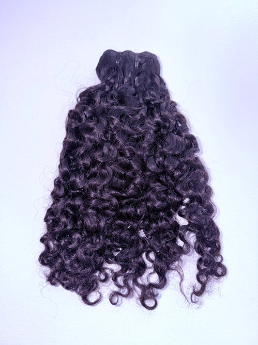 Raw Vietnamese Burmese Curly