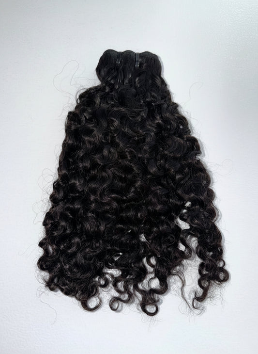 Virgin Burmese Curl